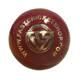 FCS Predator Beast Cricket Ball