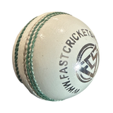 FCS Predator Beast Cricket Ball