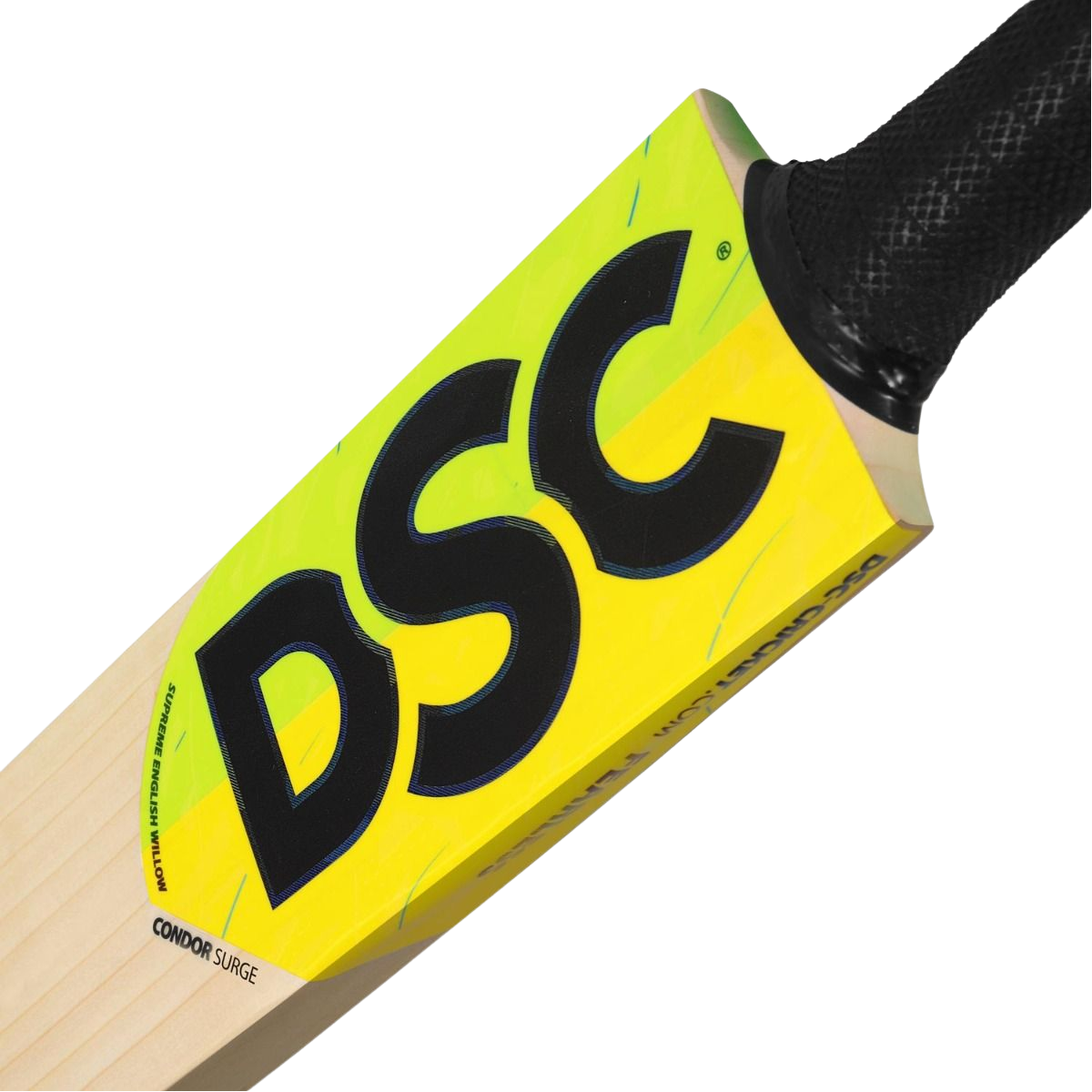 DSC Condor Surge  Cricket Bat