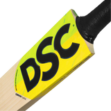 DSC Condor Surge  Cricket Bat